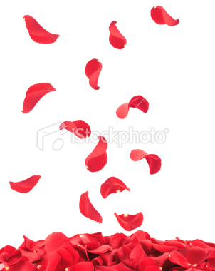 ist2_11101199-falling-rose-petals